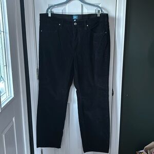 JAG super soft velvet corduroy 22W pants